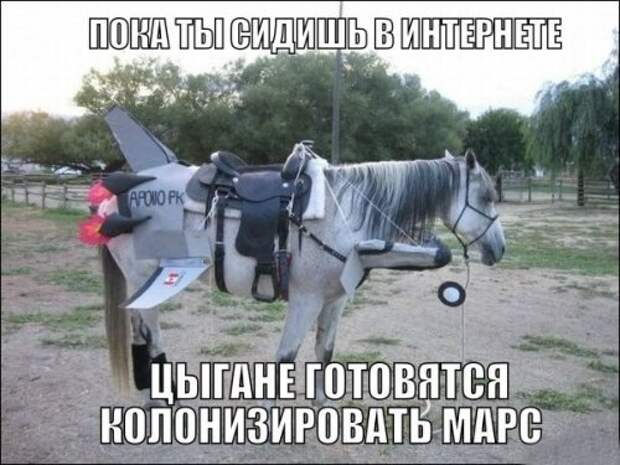 Прикольные фотомемы для хорошего настроения (31 шт)