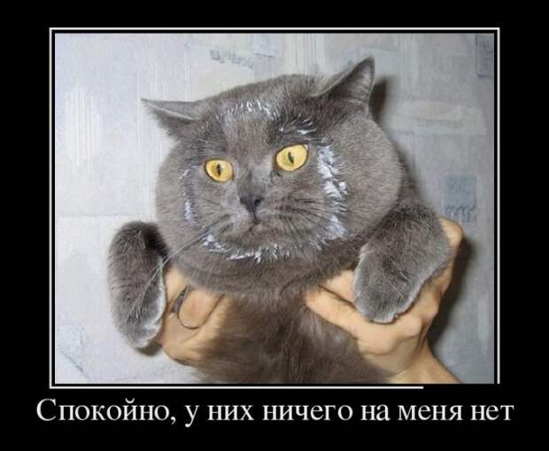 Демотиваторы (30 фото)