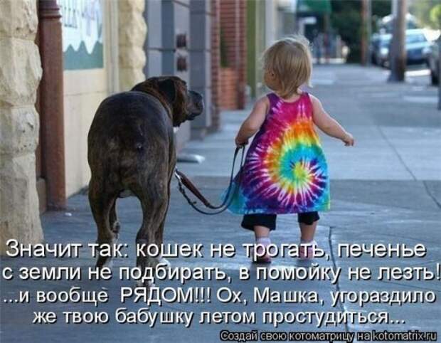 Котоматрица 26
