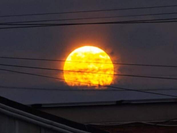 «Бобровая Луна» взошла над Россией: фото редкого явления и что сулит по поверьям