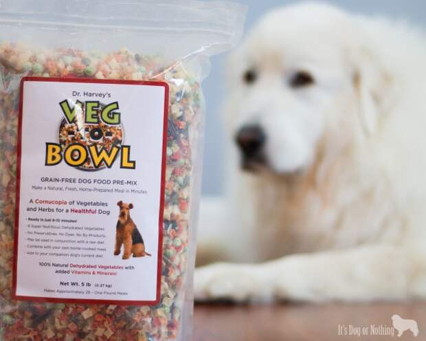 These Great Pyrenees are tackling allergies and tummy issues with Dr. Harvey's Veg-To-Bowl. Check back for weekly updates on their progress!