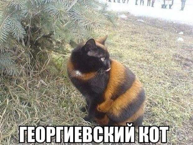 Фразы в картинках картинки, фразы