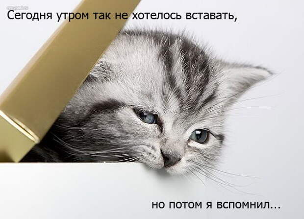 Пятница