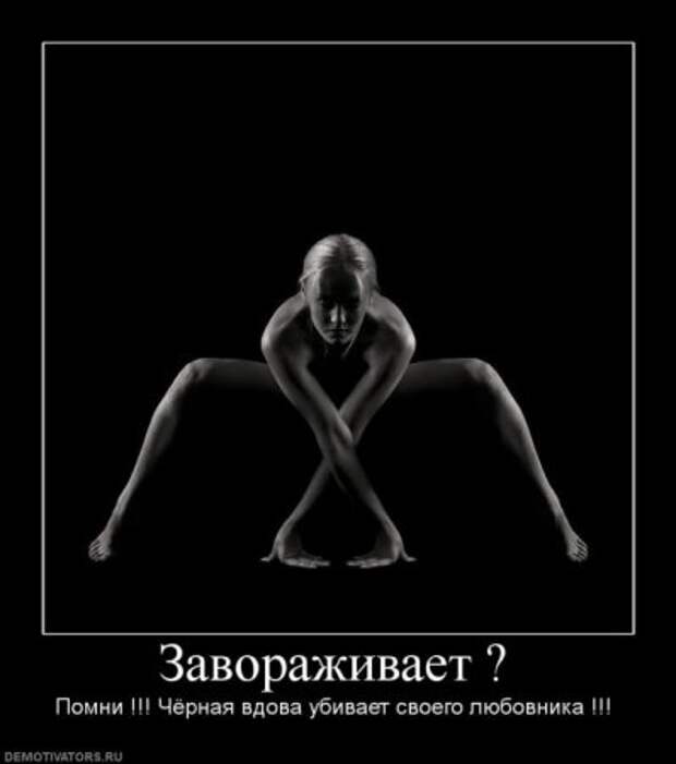 Серьезные и умные демотиваторы.