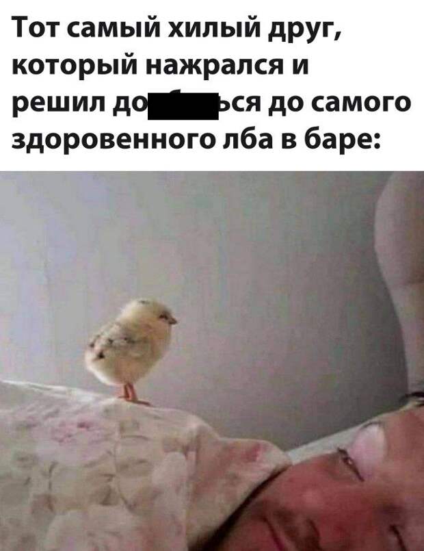 1602839535_podb_02.jpg