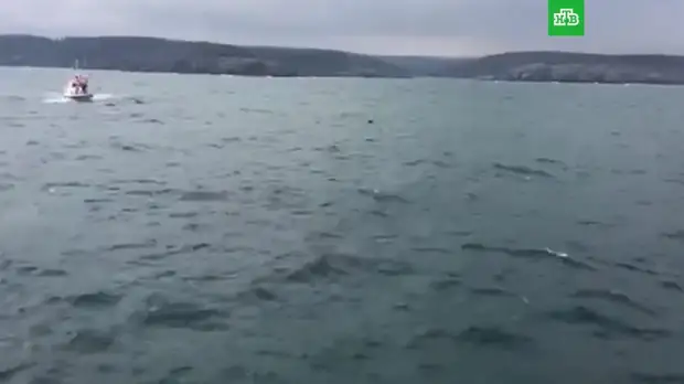 Турция запретила ночную рыбалку из-за мины в Босфоре