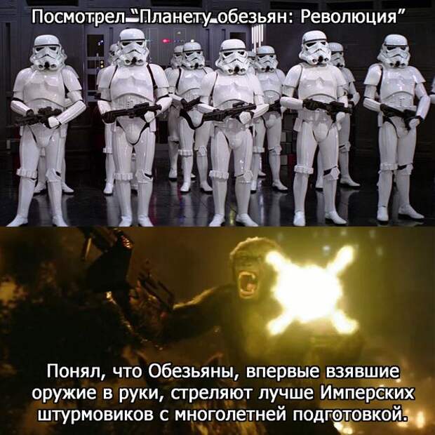 Смешные картинки с подписями картинки, прикол, юмор