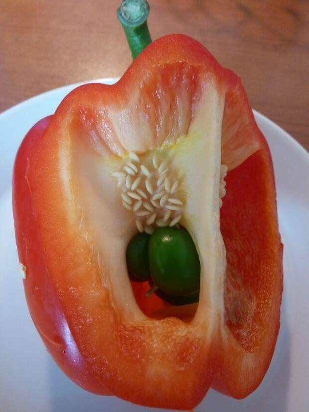 Чудо природы Чудо природы