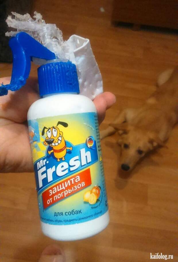 Фото приколы про Россию. Подборка - 270 (85 фото)