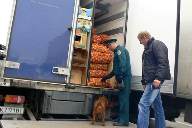 http://cdnimg.rg.ru/img/content/104/56/75/dosmotr_600.jpg