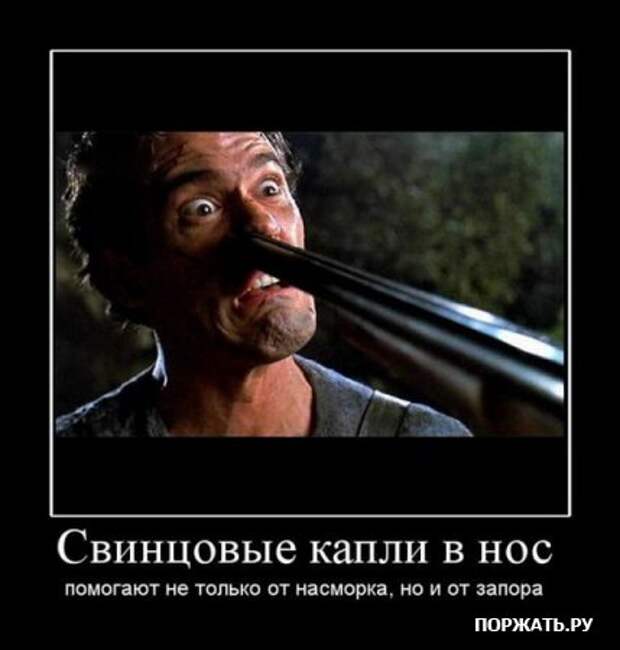 Демотиваторы, юмористические надписи.