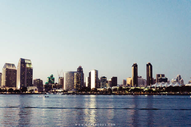 Coronado Island at Night-6.jpg