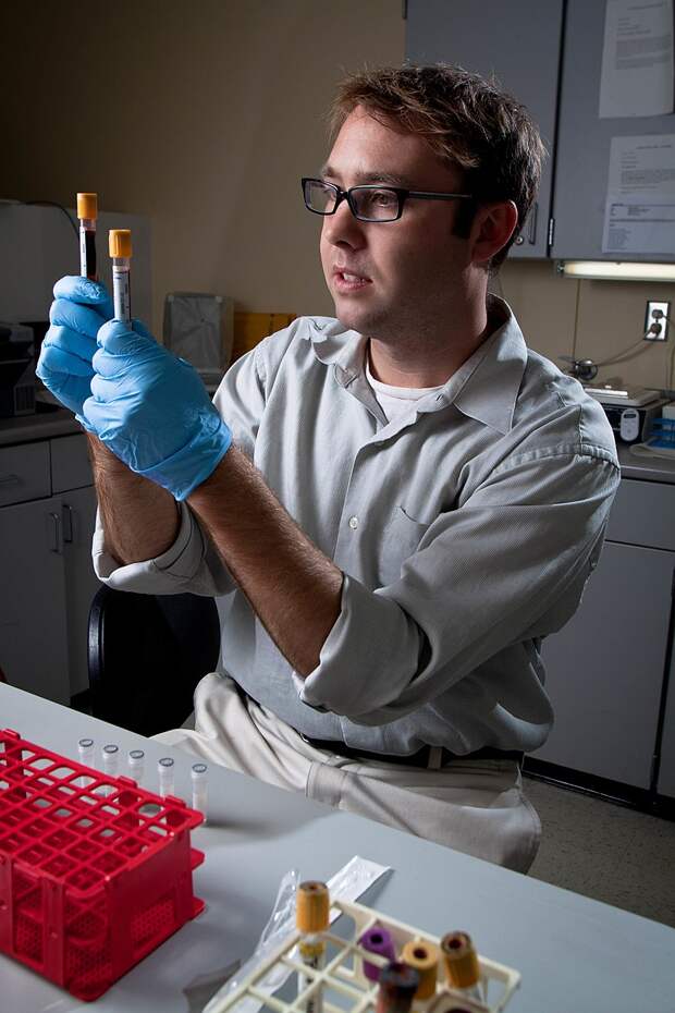 Эпидемиолог анализирует образцы крови на коклюш во время вспышки 2010 года. 