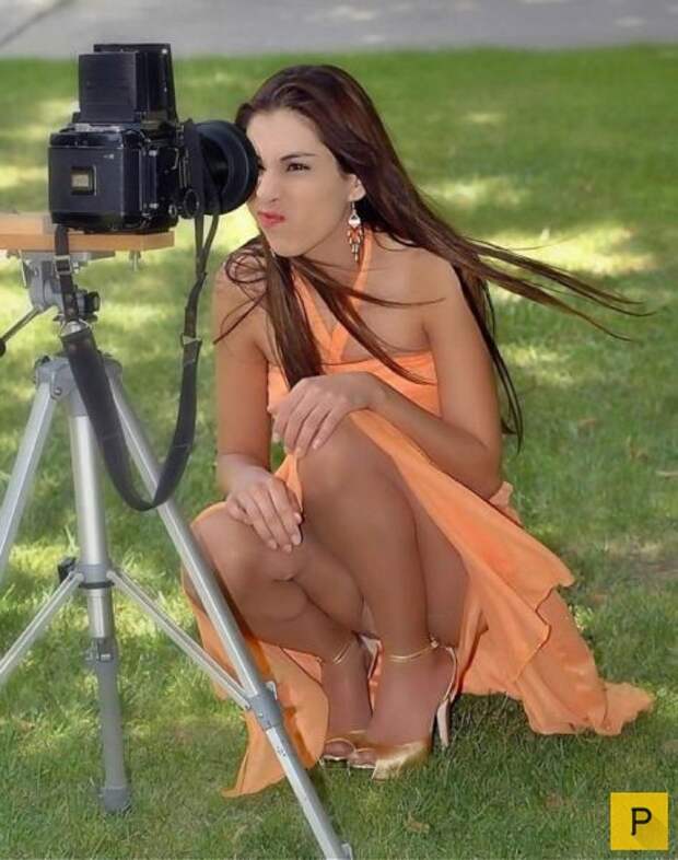 Подборка лучших прикольных фотографий 2015 года (105 фото)