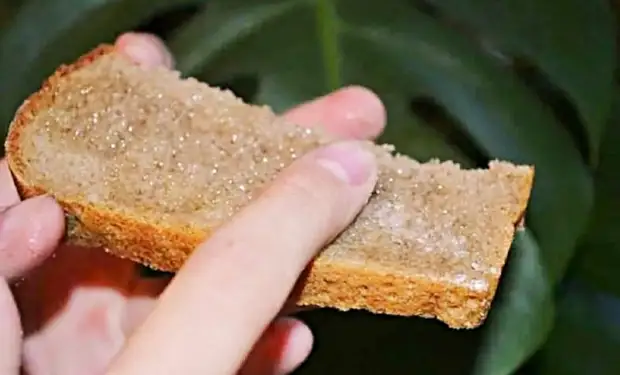 Ржаной хлеб с подсолнечным маслом и солью. Ржаной хлеб с подсолнечным маслом и солью.