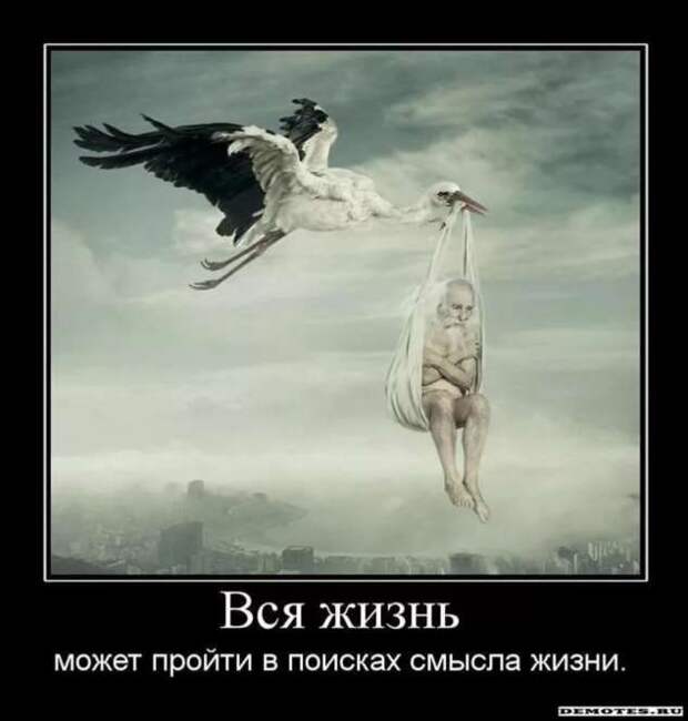 Прикольные демотиваторы с надписями. Подборка chert-poberi-dem-chert-poberi-dem-56520724102020-15 картинка chert-poberi-dem-56520724102020-15