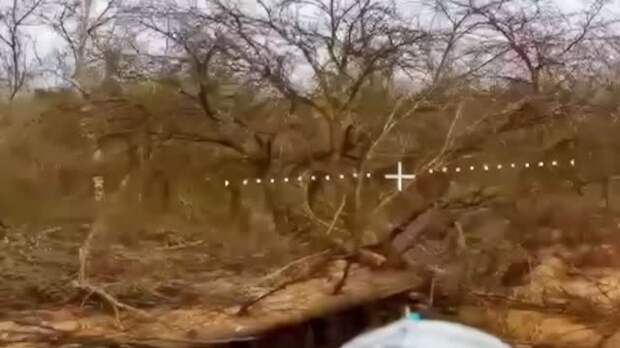 Опубликовано видео уничтожения техники и бойцов ВСУ FPV-дронами