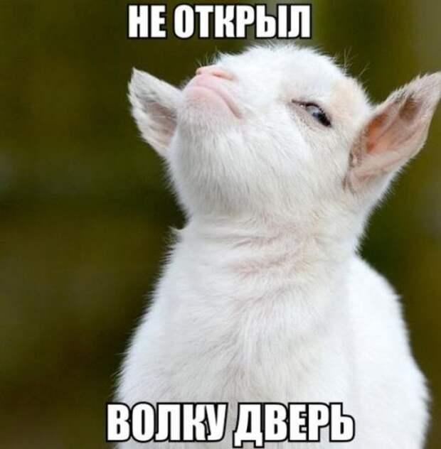 Прикольные картинки для всех и каждого (40 шт)
