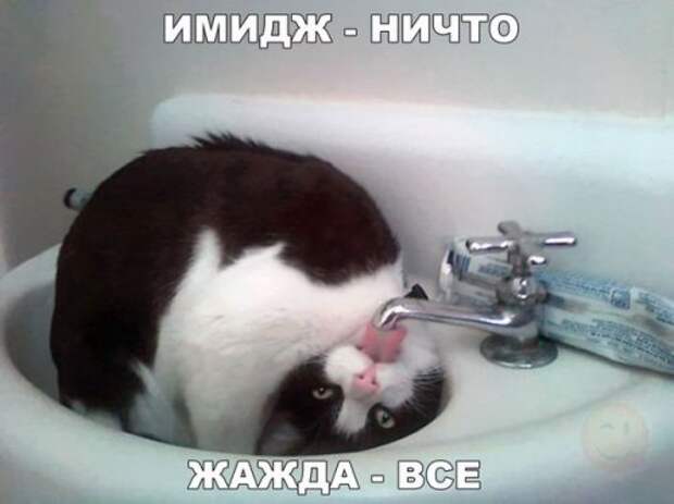 Прикольные фотомемы на Бугаге (33 шт)