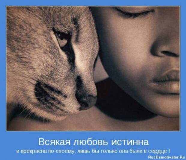 Картинки мотиваторы интересные цитаты.