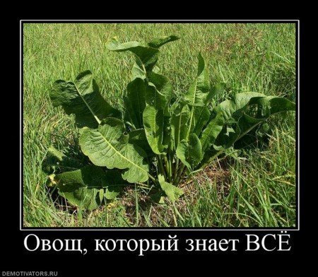 Смесь демов и фотоприколов.