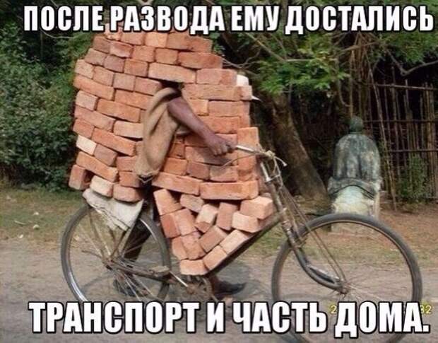 Смешные картинки с надписями видео, прикол