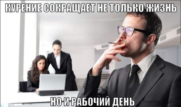 Прикольные картинки (92 фото)