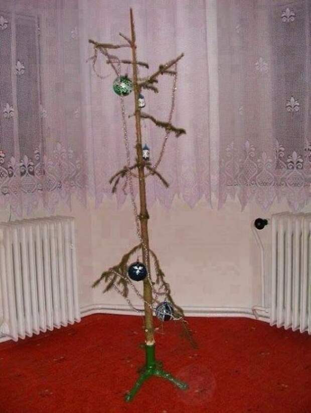 Немного новогодних приколов
