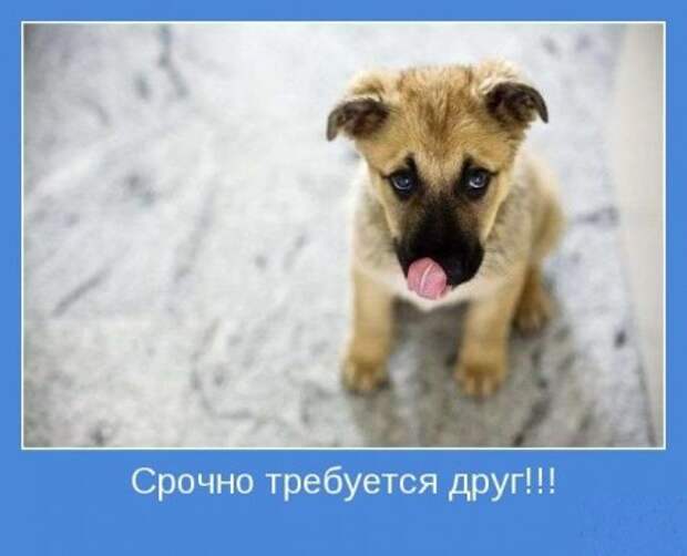 мотиваторы