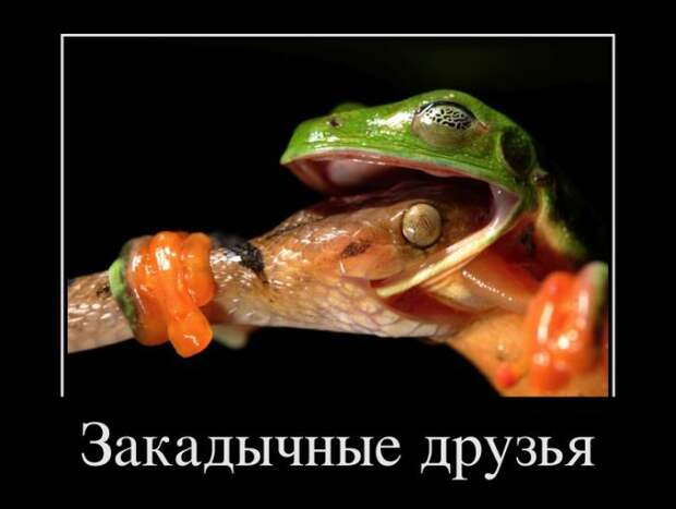 Демотиваторы (35 фото)