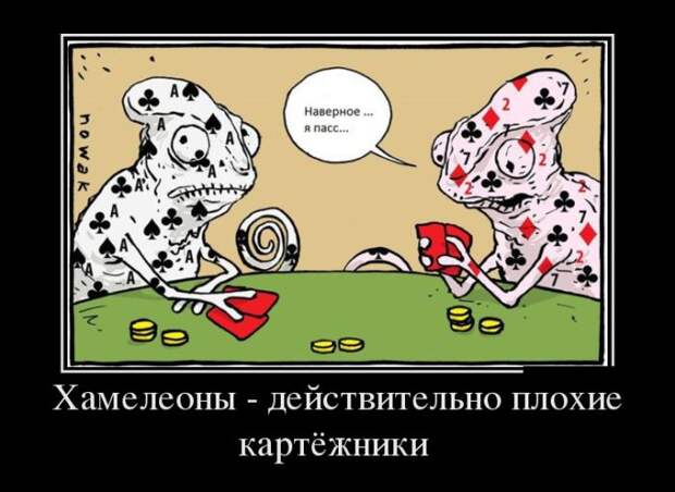 Демотиваторы (30 фото)