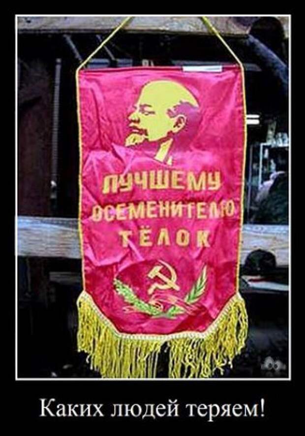 Мои демотиваторы, оцените творчество.