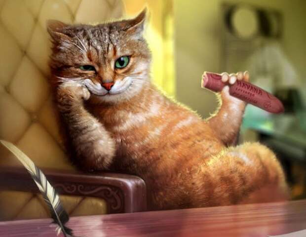 4427311_kot_bez_durakov (600x465, 54Kb)