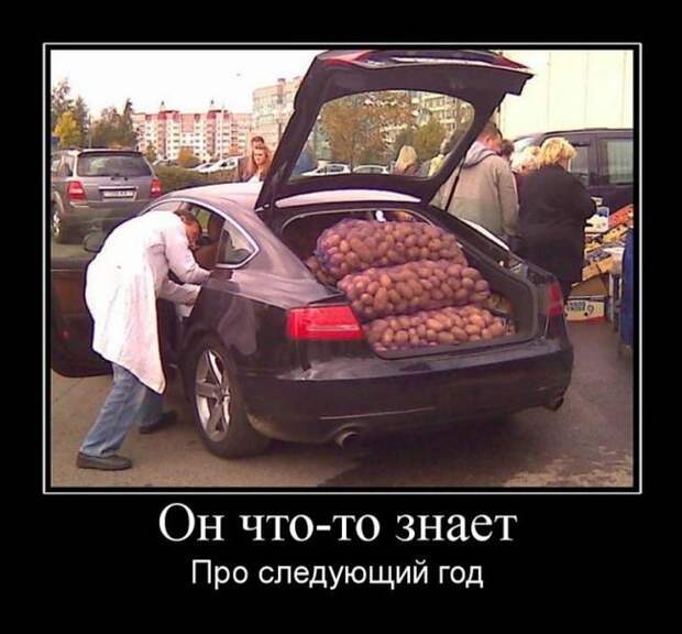 Лучшие демотиваторы дня