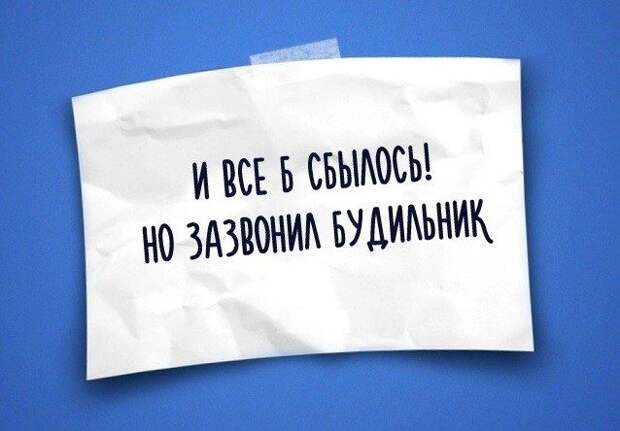 Юмор жизни в одностишьях