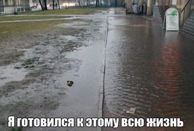 Прикольные картинки в ассортименте (33 шт)