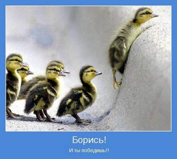 Мотиваторы 