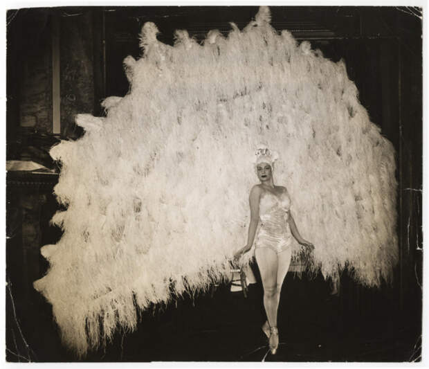 На балу в фешенебельной гостинице «Уолдорф-Астория» балерина Марина Франка в костюме павлина, Манхэттен, Нью-Йорк. Автор: Arthur Fellig (Weegee).
