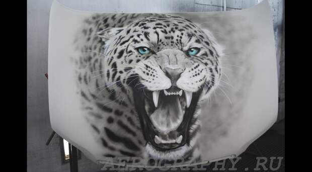 леопард на капоте 22 тыс.JPG