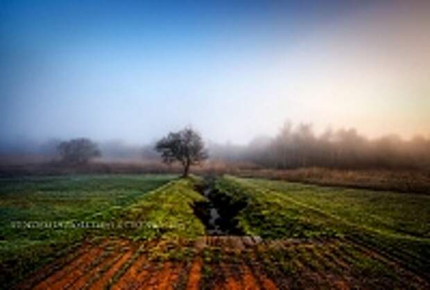 ФОТОГРАФ MIKE SHAW 16