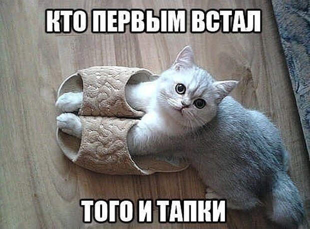 image (492x364, 147Kb)