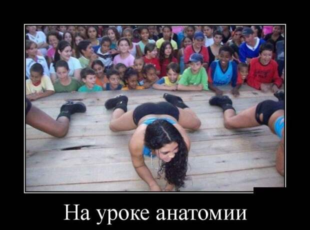 Демотиваторы демотиваторы, прикол, смех, юмор