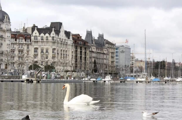 В Швейцарии украинского беженца с Porsche обязали вернуть соцвыплаты