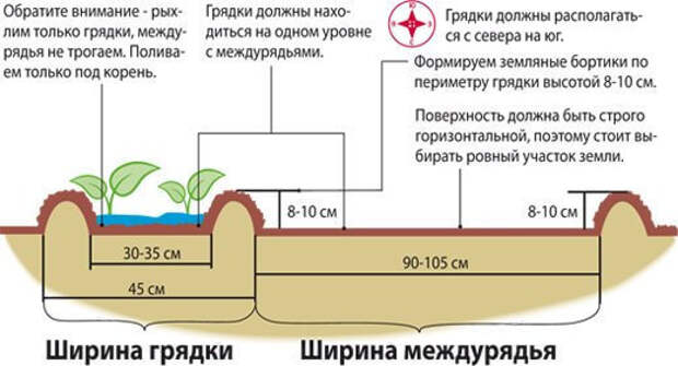 Как правильно расположить грядки по сторонам света на огороде фото