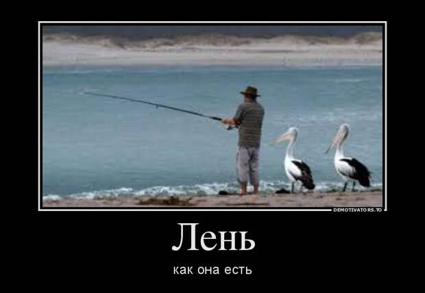 Демотиваторы  демотиваторы, прикол, смех, юмор