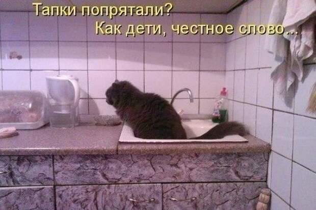 Картинки