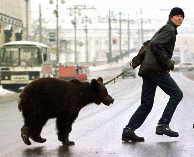 Человек со своим медведем на Невском проспекте в Санкт-Петербурге
