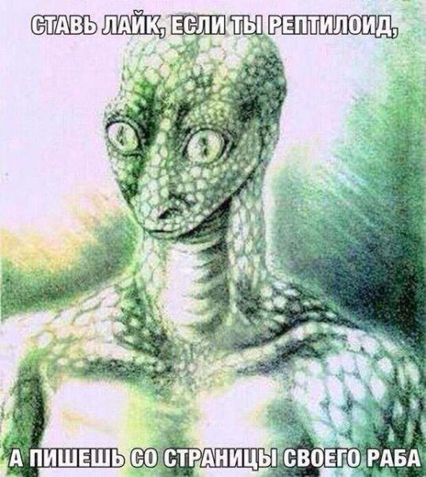 Весёлые картинки