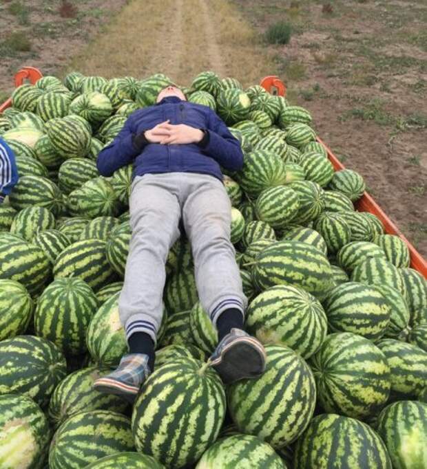 Фото приколы которые веселят.