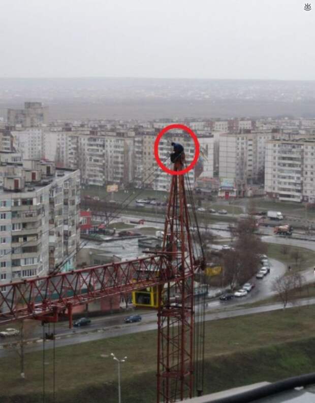 Забавные и позитивные фотки 11